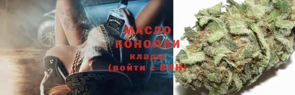 гидра Нея