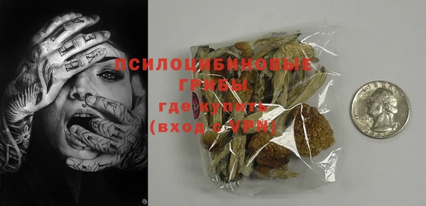 гидра Нея
