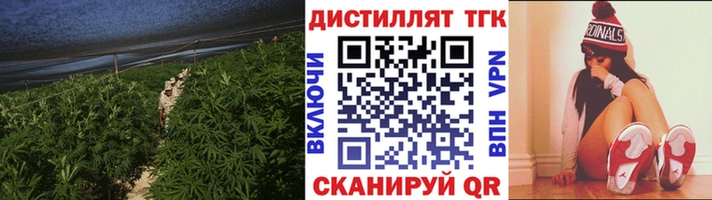 ТГК концентрат  как найти   Миньяр 